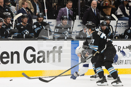 Lightning Mammoth Hockey