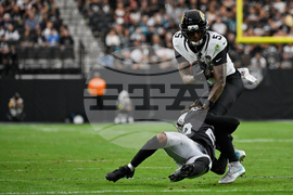 Jaguars Raiders Football
