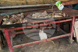 Argentina Day of the Dead