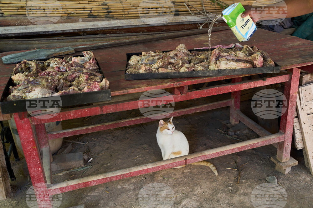 Argentina Day of the Dead