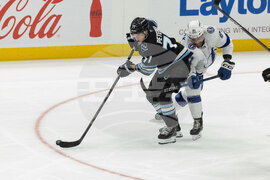 Lightning Mammoth Hockey