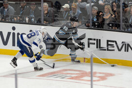 Lightning Mammoth Hockey