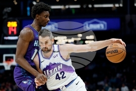 Jazz Hornets Basketball