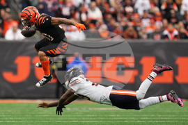 APTOPIX CORRECTION Bears Bengals Football