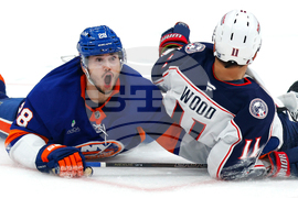 APTOPIX Blue Jackets Islanders Hockey