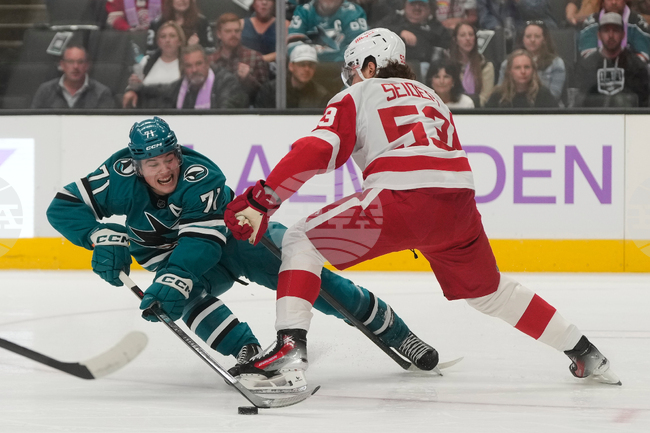 Red Wings Sharks Hockey
