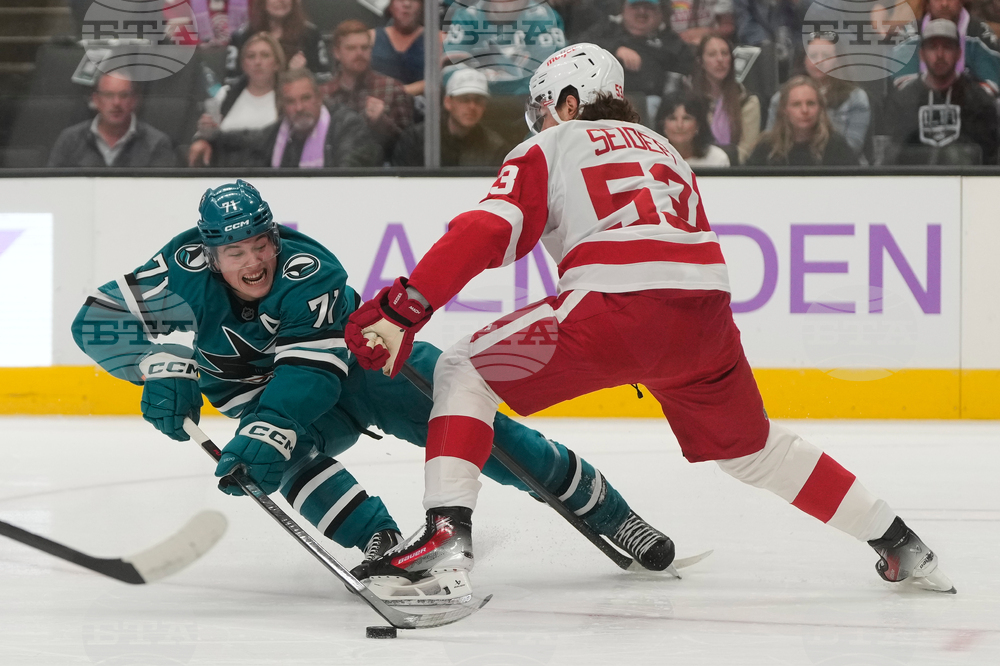 Red Wings Sharks Hockey