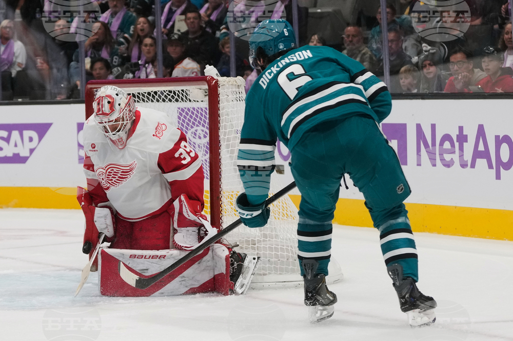 Red Wings Sharks Hockey