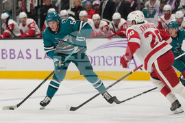 Red Wings Sharks Hockey