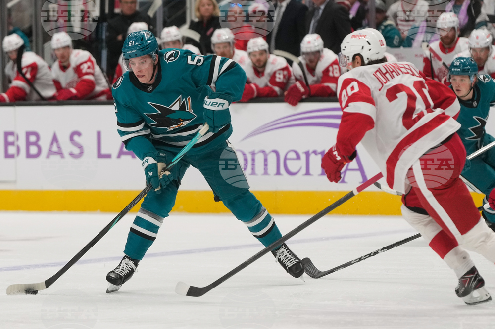 Red Wings Sharks Hockey