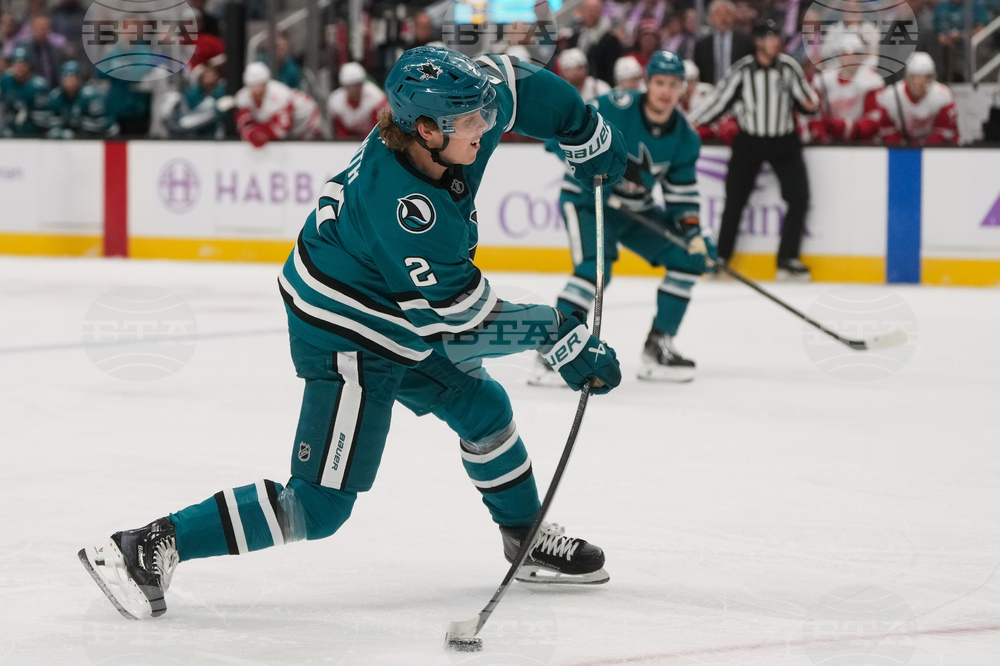 Red Wings Sharks Hockey