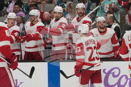 Red Wings Sharks Hockey