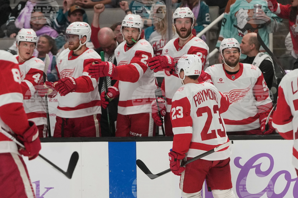 Red Wings Sharks Hockey