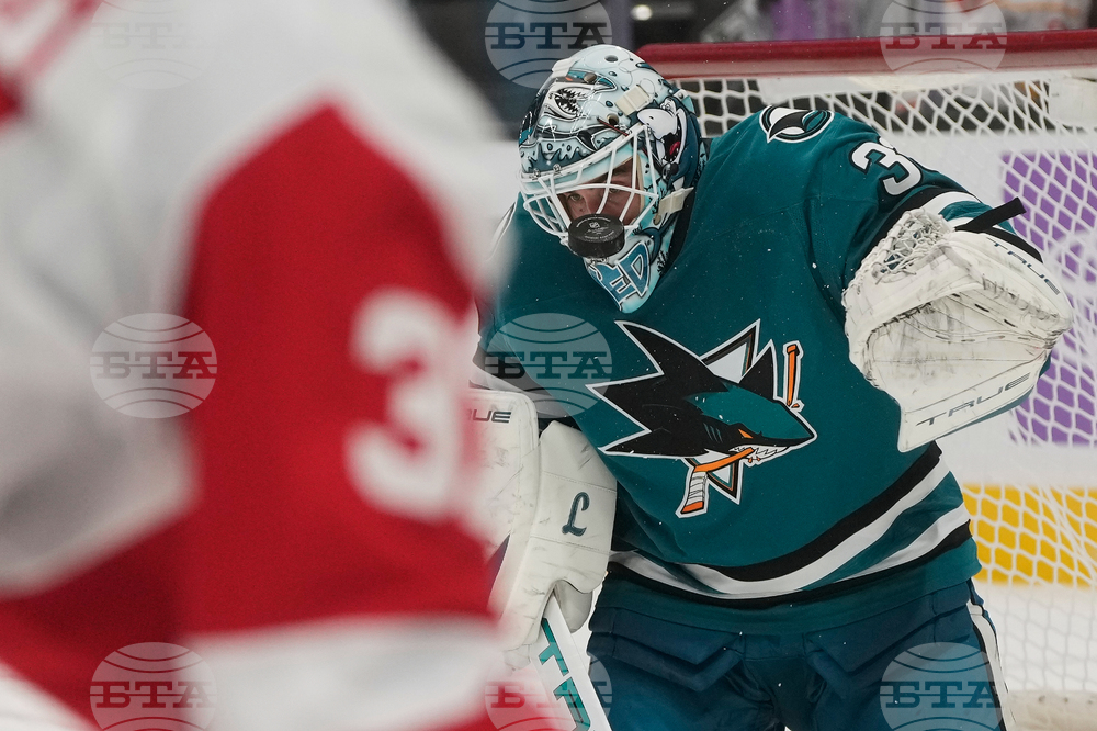 Red Wings Sharks Hockey