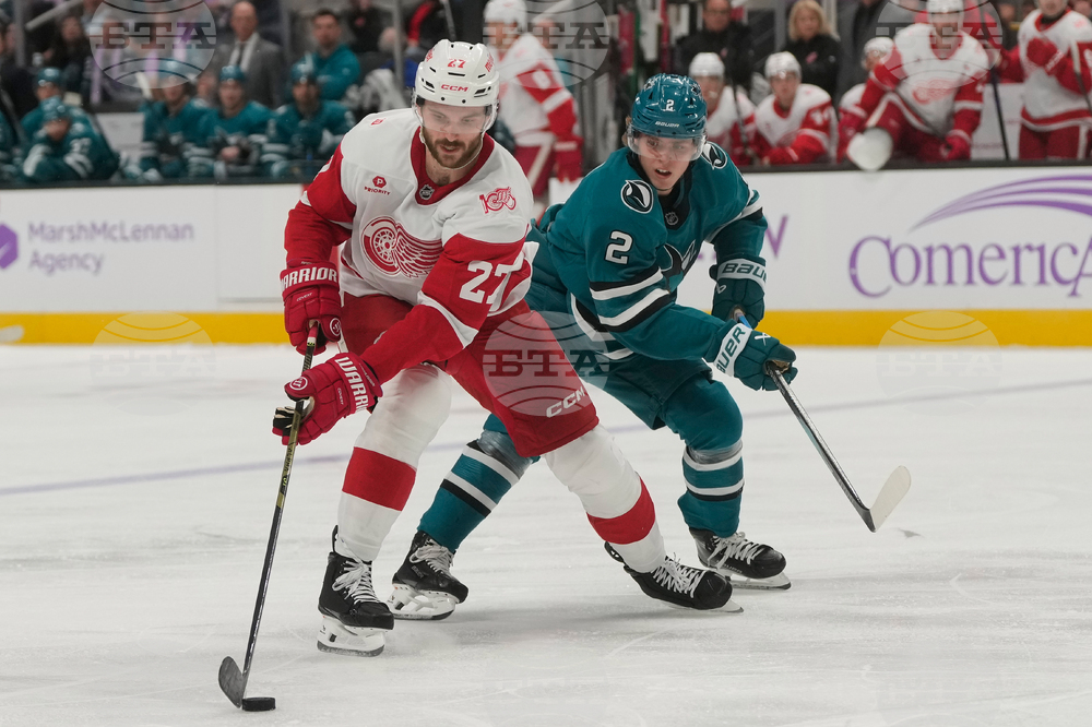 Red Wings Sharks Hockey
