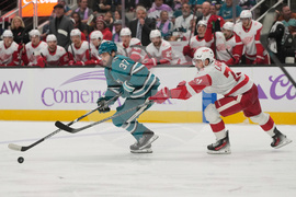 Red Wings Sharks Hockey