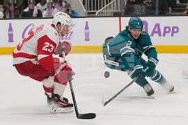 Red Wings Sharks Hockey