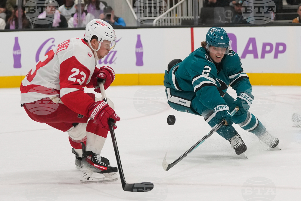 Red Wings Sharks Hockey