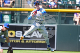 Baseball Gold Gloves