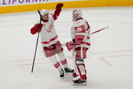 Red Wings Sharks Hockey