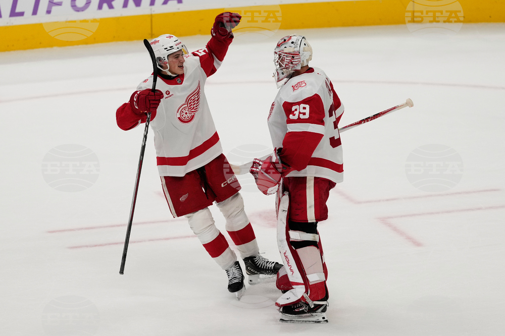 Red Wings Sharks Hockey