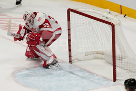 Red Wings Sharks Hockey