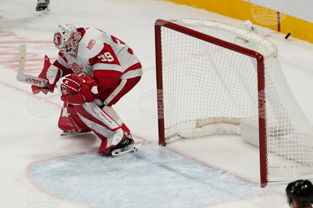 Red Wings Sharks Hockey