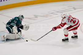 Red Wings Sharks Hockey