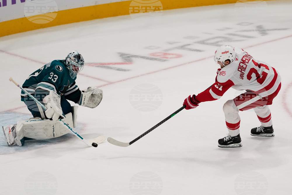 Red Wings Sharks Hockey