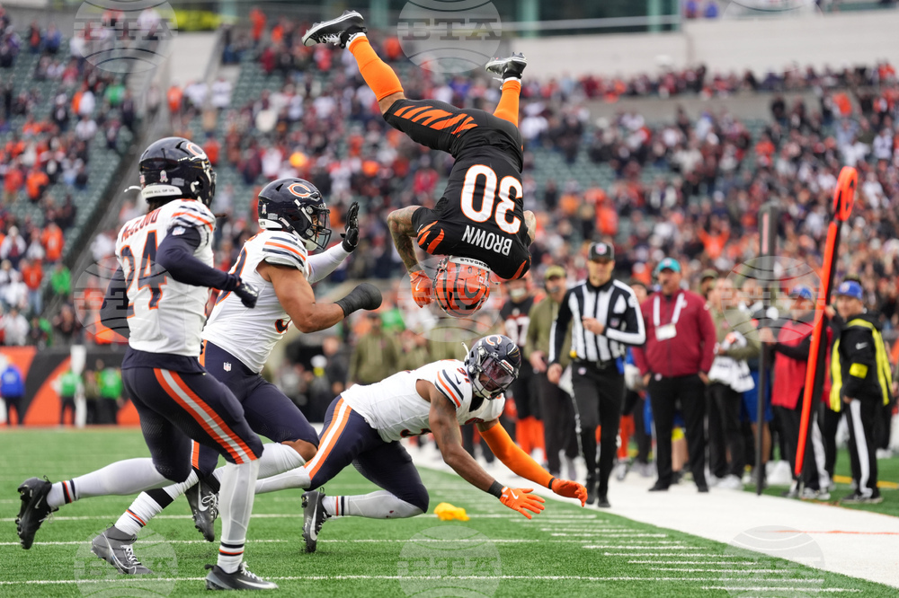 Bears Bengals Football