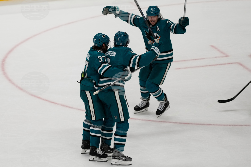 Red Wings Sharks Hockey