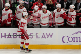 Red Wings Sharks Hockey