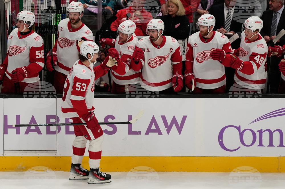 Red Wings Sharks Hockey