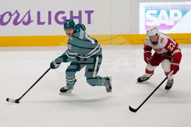 Red Wings Sharks Hockey