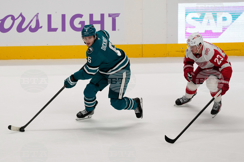 Red Wings Sharks Hockey