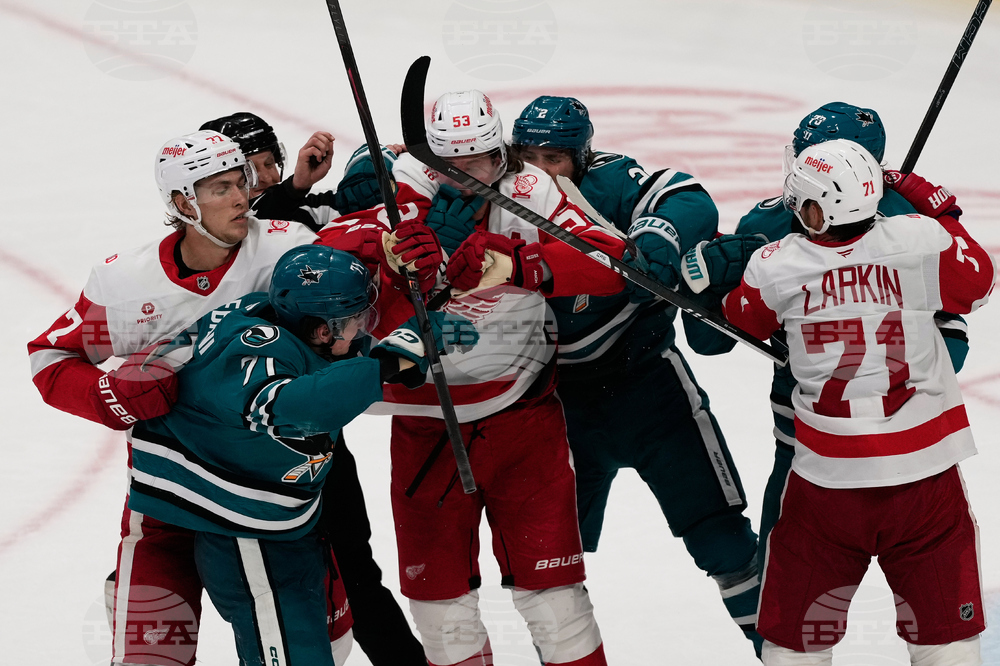 Red Wings Sharks Hockey