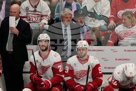Red Wings Sharks Hockey