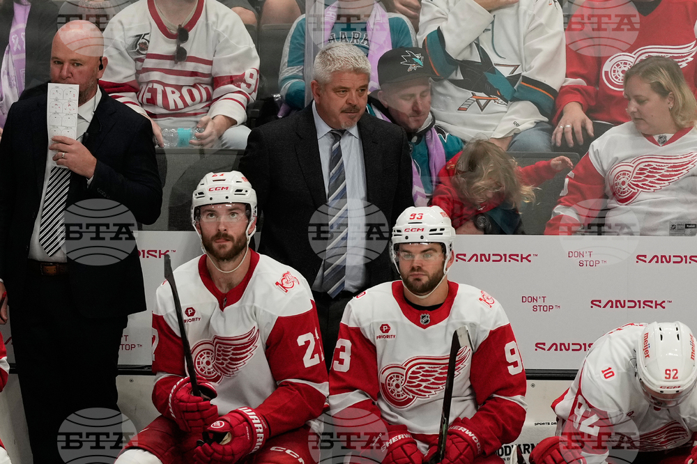 Red Wings Sharks Hockey