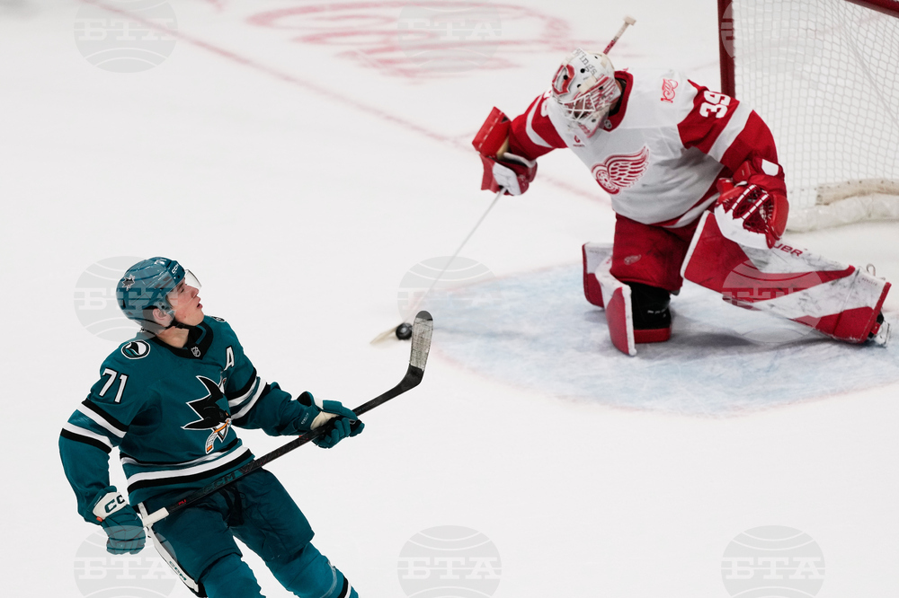 Red Wings Sharks Hockey