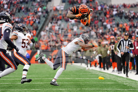 Bears Bengals Football