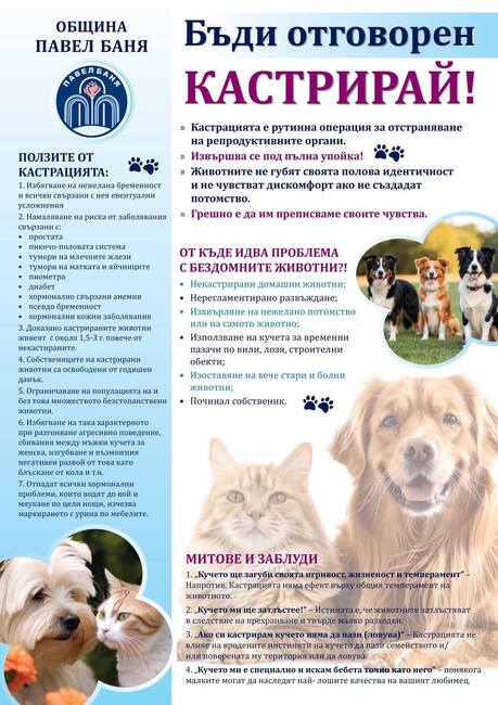В Павел баня организират кампания за безплатна кастрация на домашни кучета
