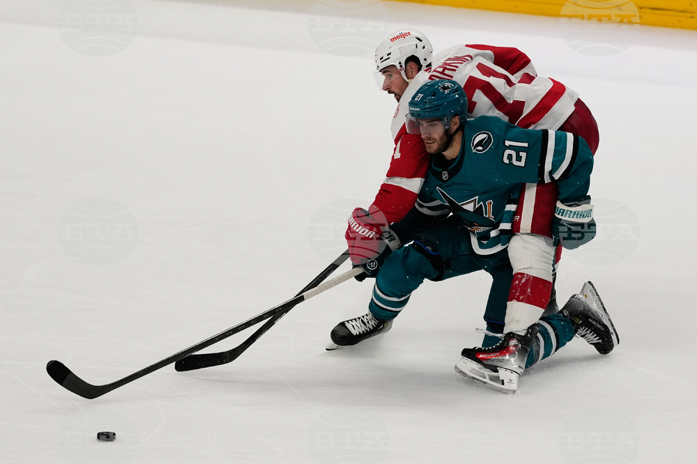 APTOPIX Red Wings Sharks Hockey