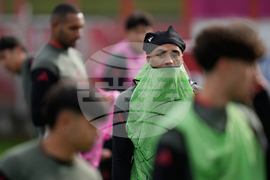 Germany Soccer Champions League