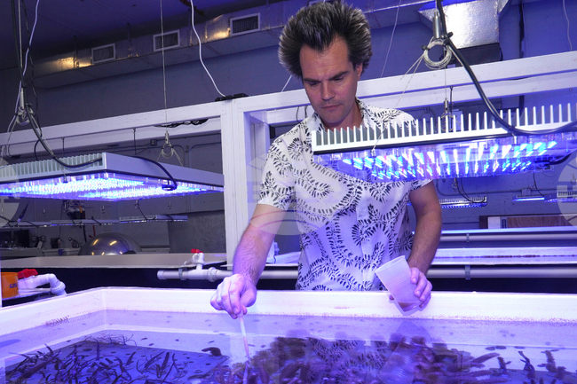 Miami Beach Reef Art