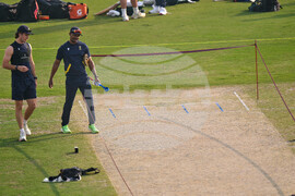 Pakistan South Africa Cricket