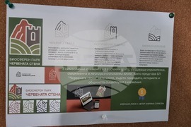 Пловдив - РИОСВ - инициативи