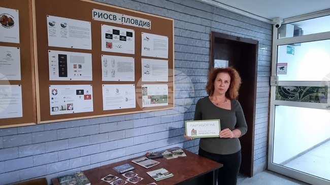 Пловдив - РИОСВ - инициативи