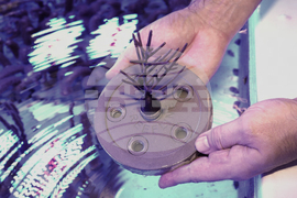 Miami Beach Reef Art