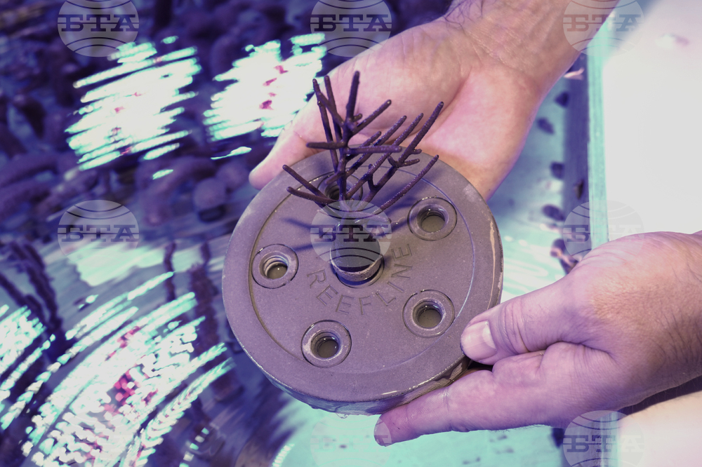 Miami Beach Reef Art