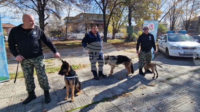 Полицаи в Перник направиха демонстрация със служебни кучета и разказаха за най-интересните си случаи на децата от ДГ „Пролетен цвят“